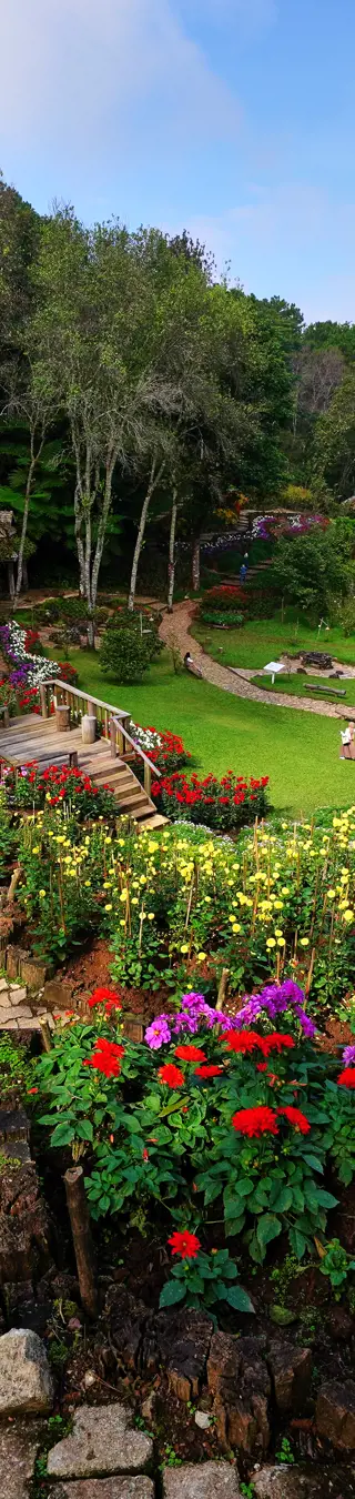 Spaziere durch die bezaubernden Gartenanlagen von Suan Mae Fa Luang
